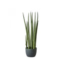 ARTIFICIAL PLANT SANSAVIERA 50