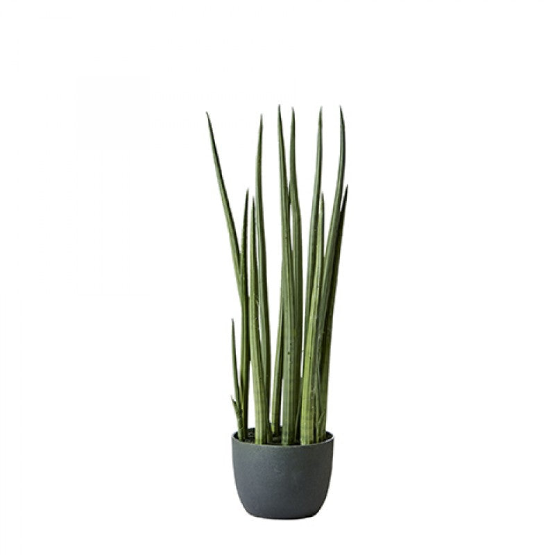 ARTIFICIAL PLANT SANSAVIERA 50