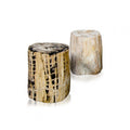 PETRIFIED WOOD STOOL POLISHED