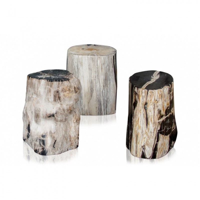 PETRIFIED WOOD STOOL POLISHED