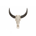 BUFFALO SKULL WITH CARVING UNIQUE PIECES
