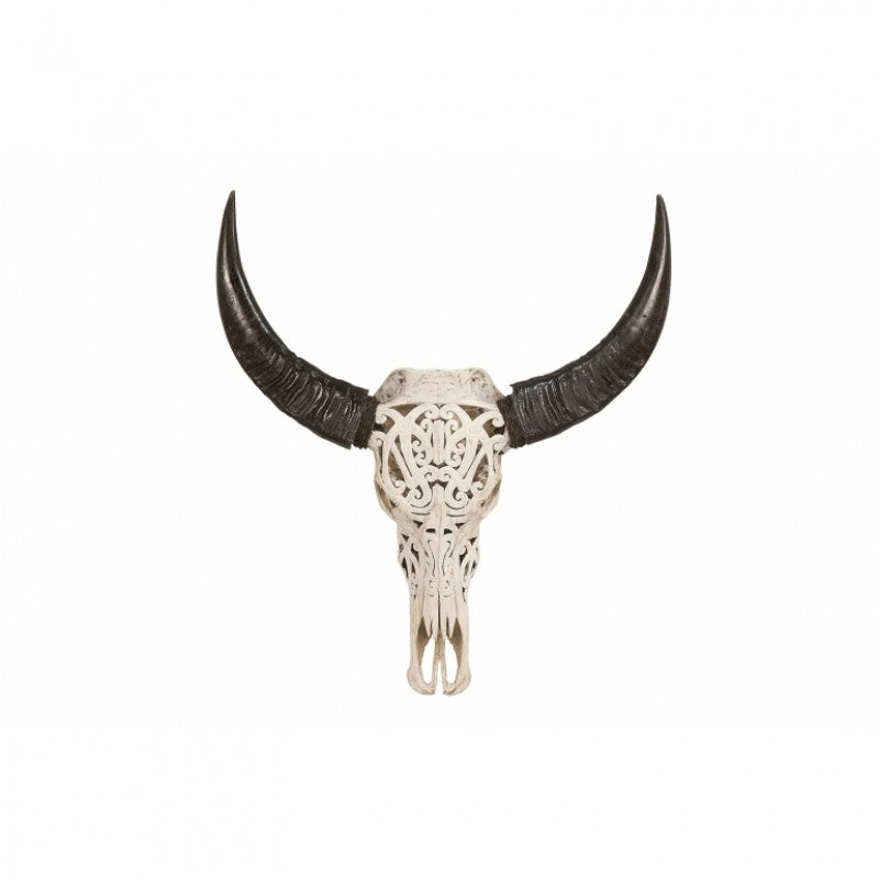 BUFFALO SKULL WITH CARVING UNIQUE PIECES