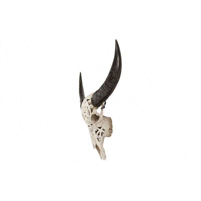 BUFFALO SKULL WITH CARVING UNIQUE PIECES