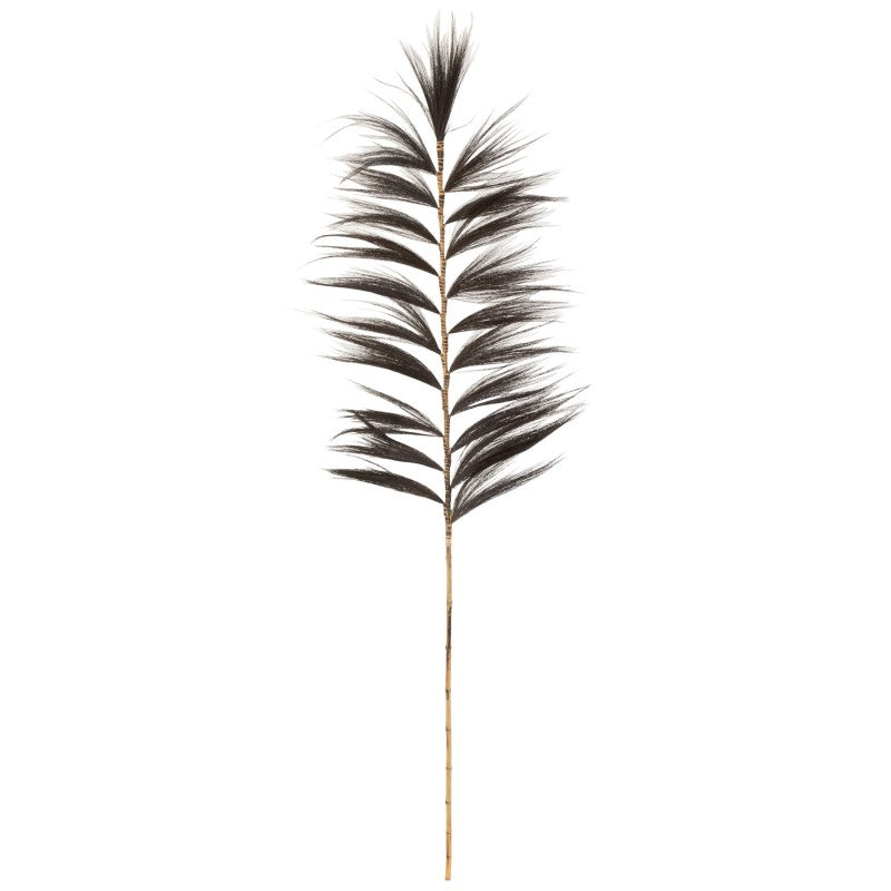 BRANCH YUNG GRASS BLACK