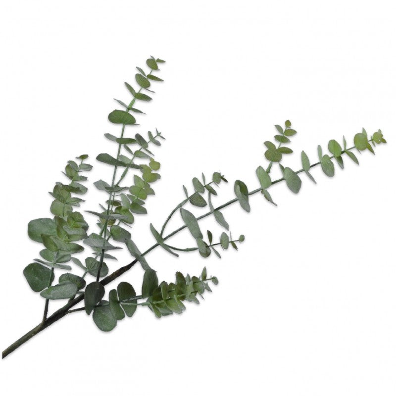 EUCALYPTUS GREEN 80