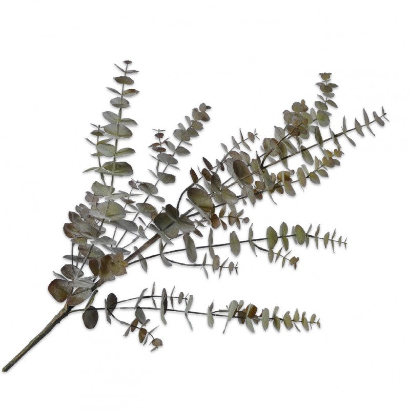 EUCALYPTUS GREY GREEN 110