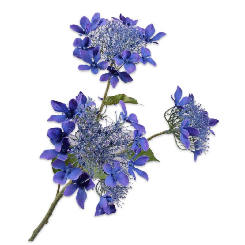 HYDRANGEA ULTRA BLUE 95