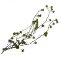 HANGING SUCCULENT 130