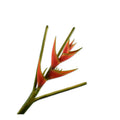 RED HELICONIA DECO FLOWER