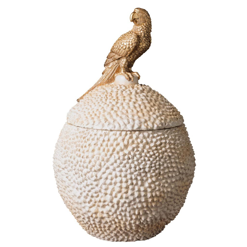 NATURAL EGG BOX GOLDEN PARROT CURIOSITY DECO